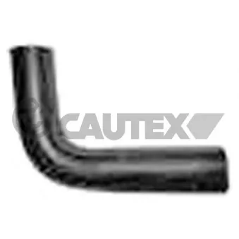 Durite de radiateur CAUTEX