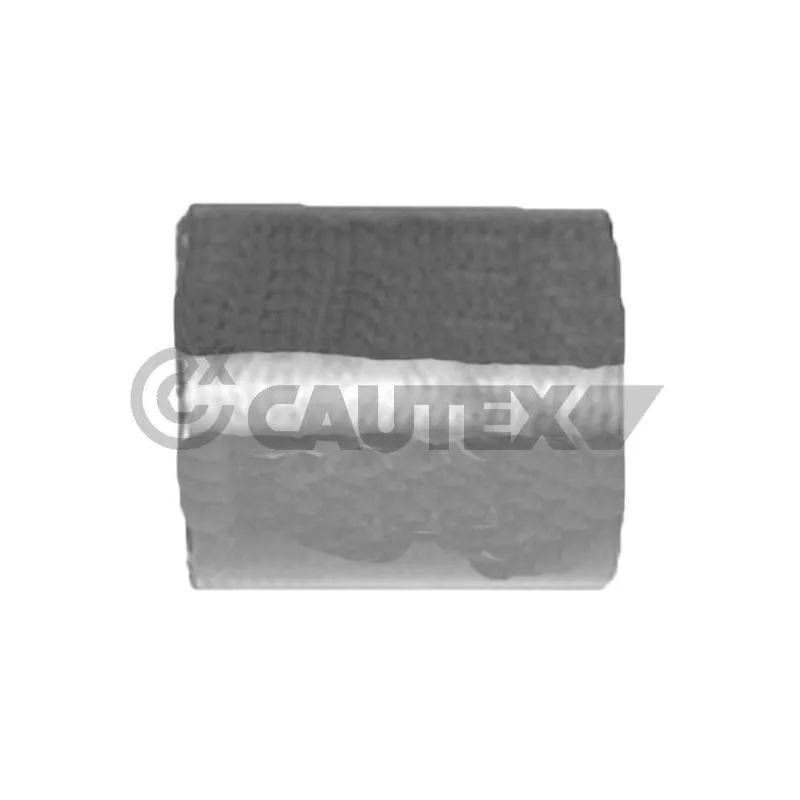 Durite de radiateur CAUTEX 767066