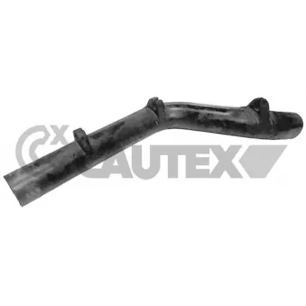 Durite de radiateur CAUTEX