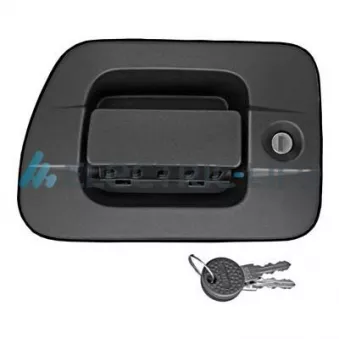 Poignée extérieure de porte ELECTRIC LIFE